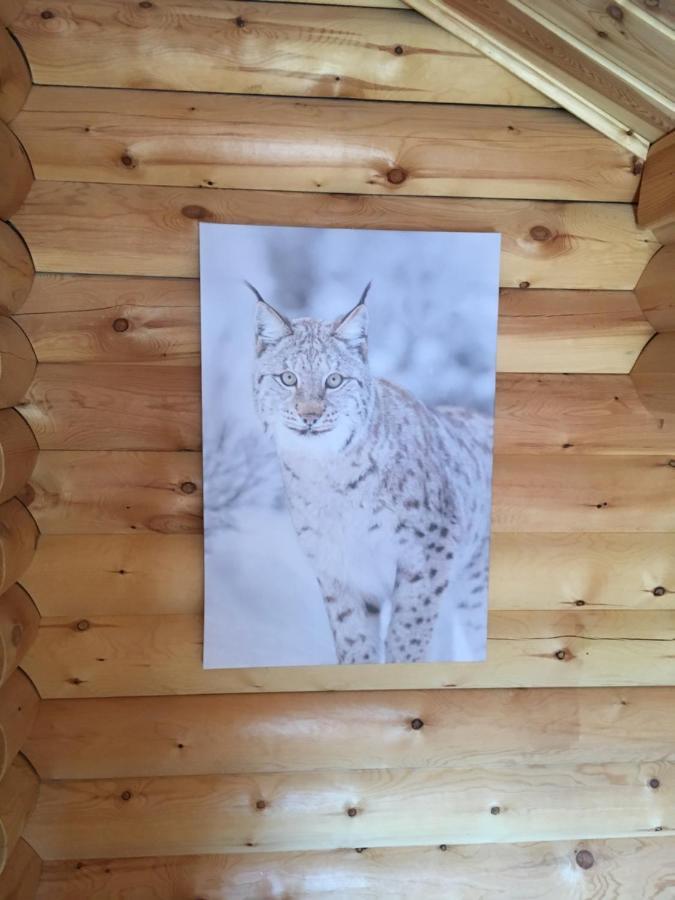 Le Syote Villa Xonrupt-Longemer Kültér fotó